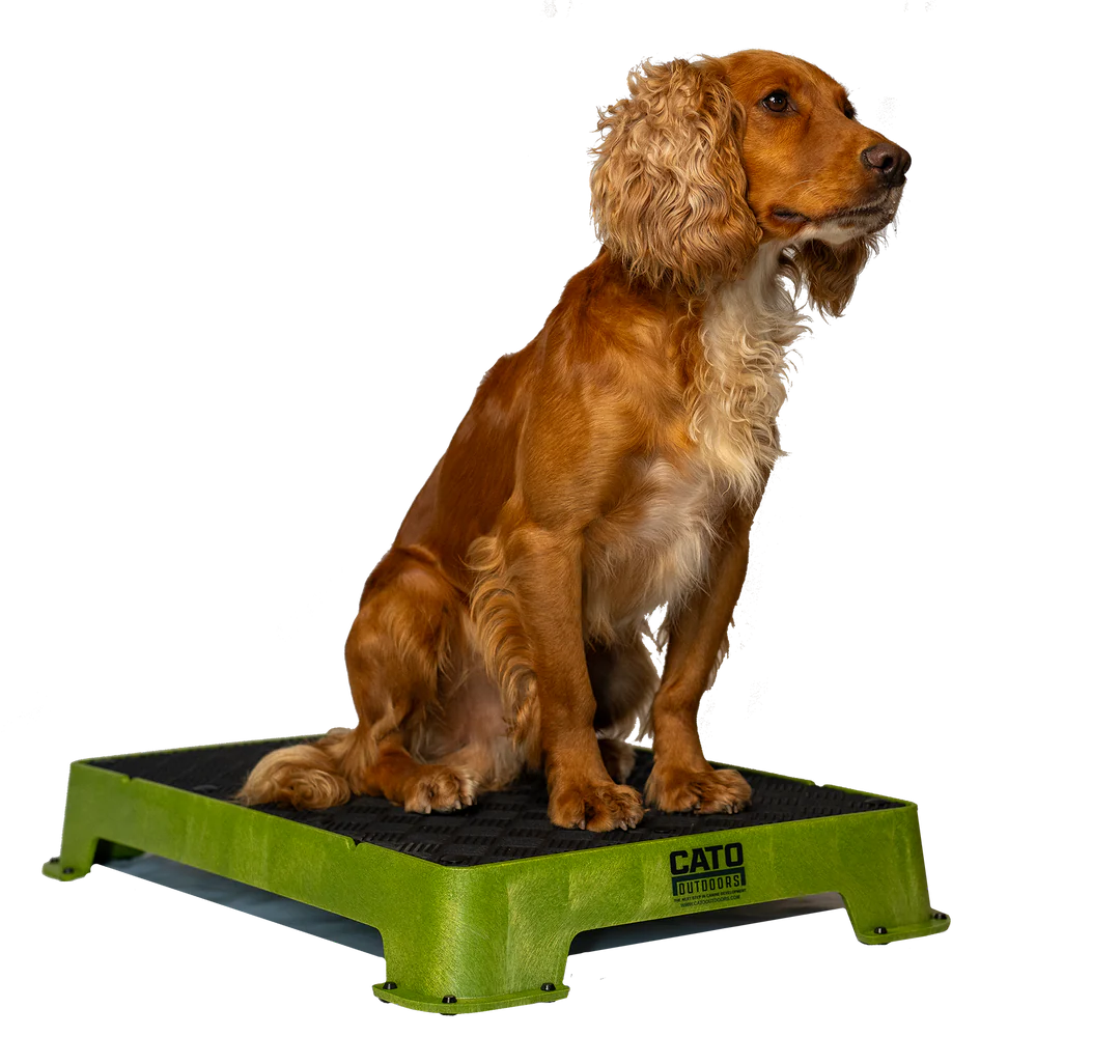 Cato Board Dog Training Platform