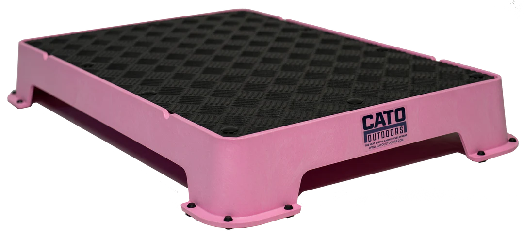 Cato Board Dog Training Platform