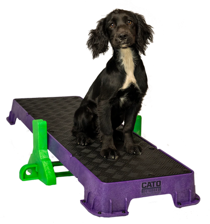 Cato Plank XL Platform w/ Tilt
