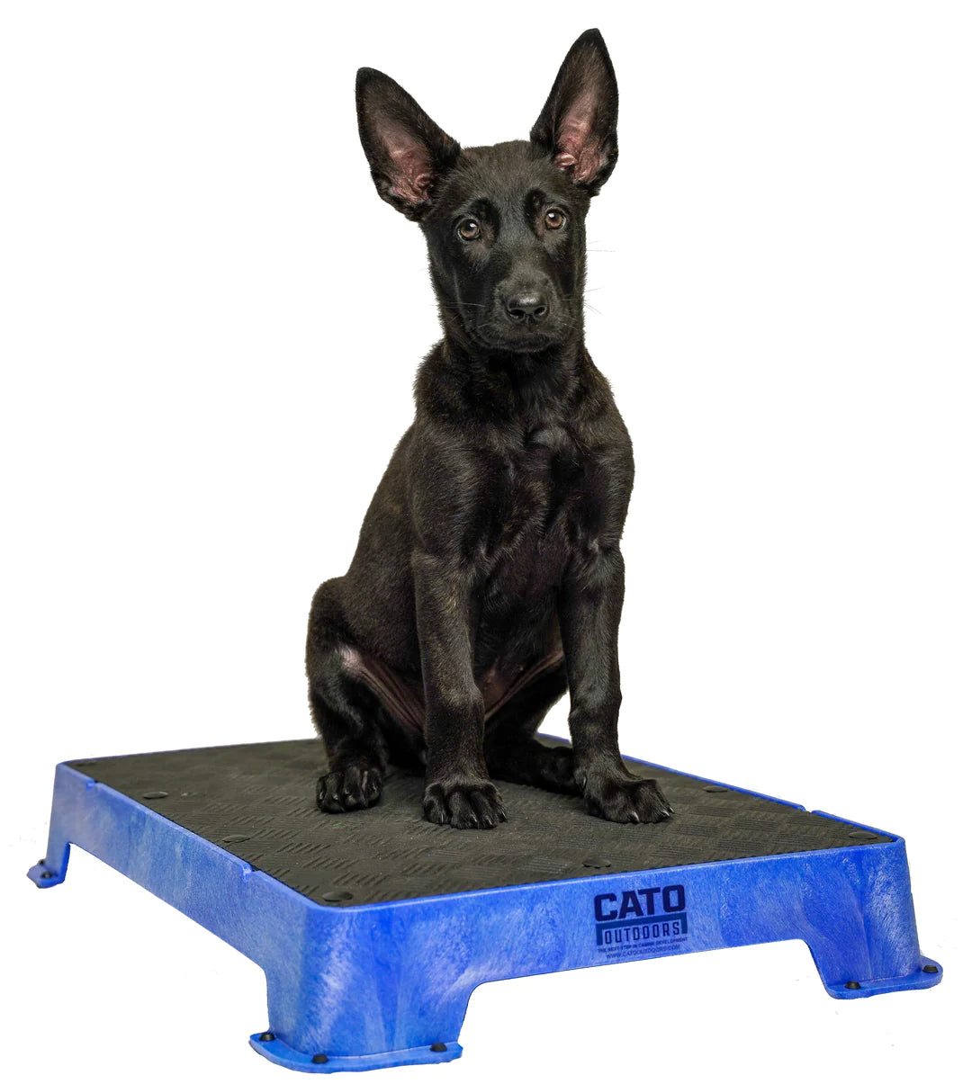 Cato Board Dog Training Platform