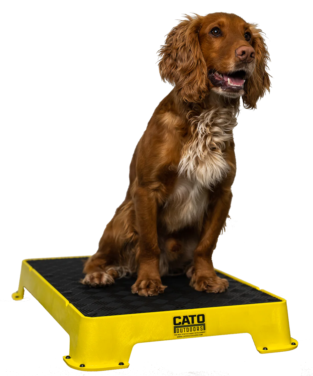 Cato Board Dog Training Platform