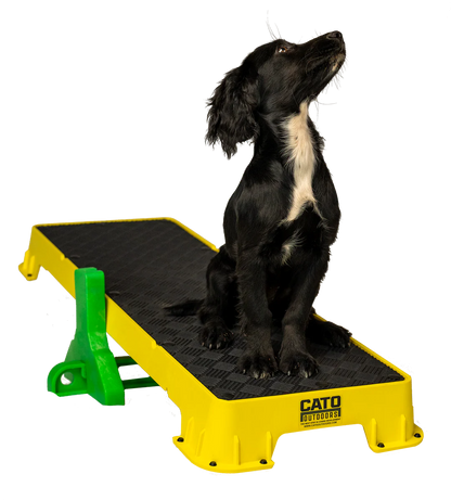 Cato Plank XL Platform w/ Tilt