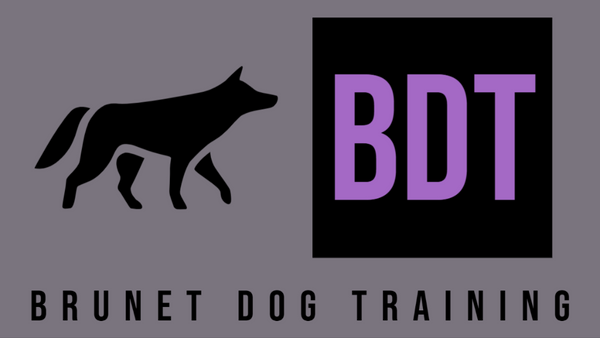 Brunet Dog Training Services